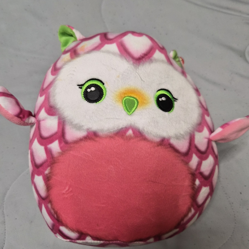 Ty Squishy Beanies Pink and Green Owl